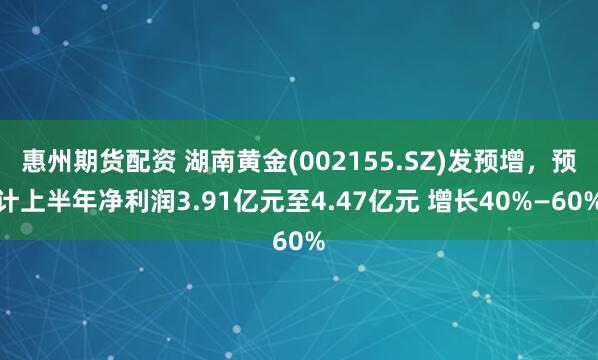 惠州期货配资 湖南黄金(002155.SZ)发预增，预计上半年净利润3.91亿元至4.47亿元 增长40%—60%